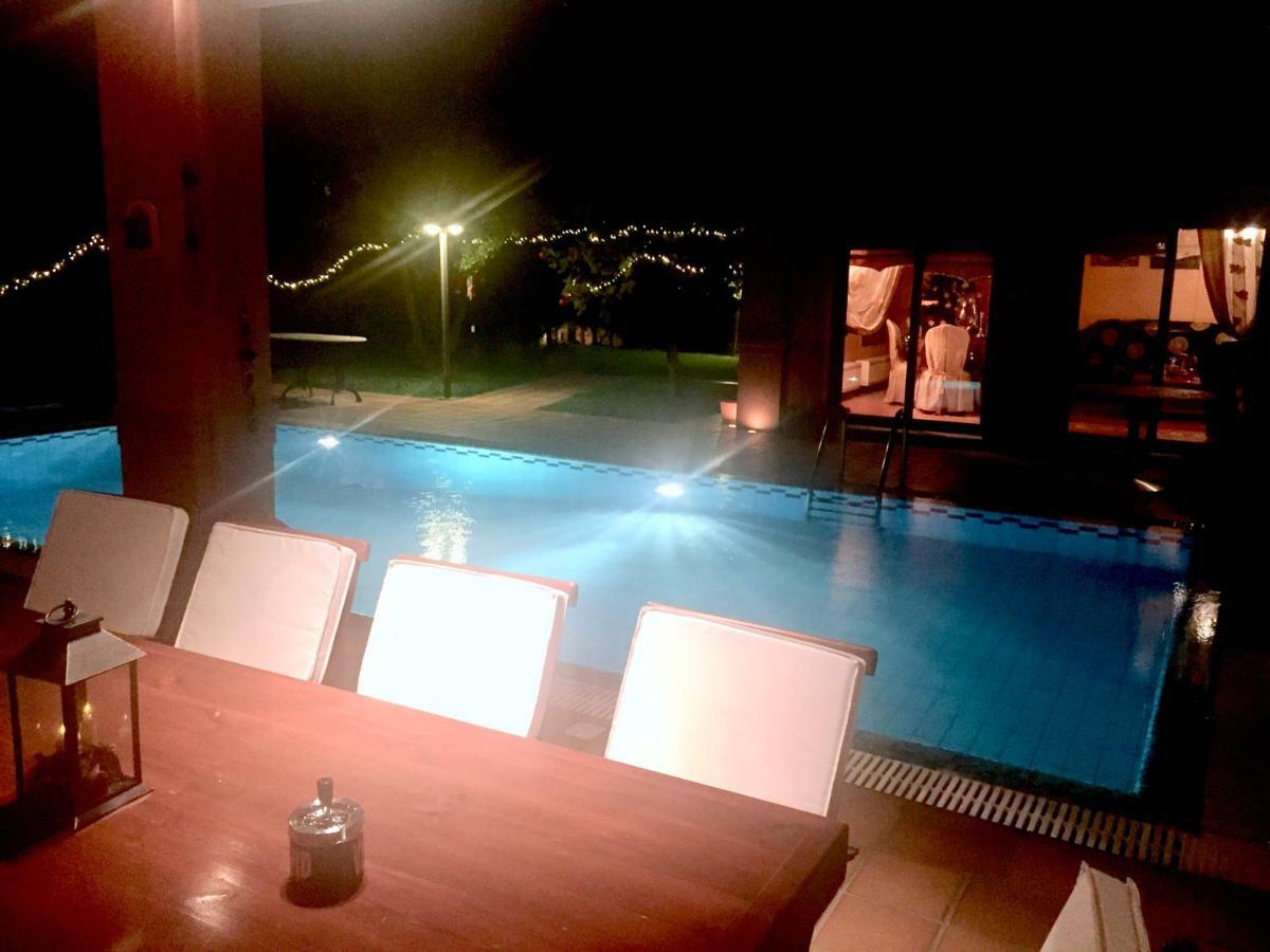 4-Seasons Pool Villa Near Meteora Trikala  Exterior photo