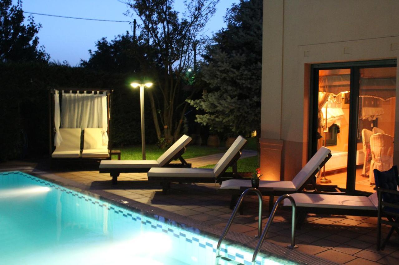 4-Seasons Pool Villa Near Meteora Trikala  Exterior photo